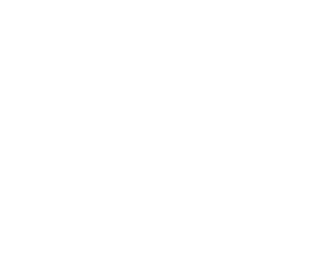 KEIO PLAZA HOTEL Christmas Cake Collectionパチスロ エウレカセブン アネモネ